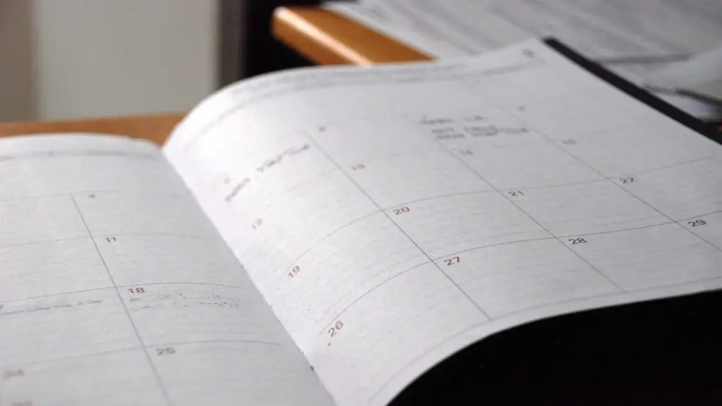 Small business owner reviewing a monthly marketing performance report with an agency team
