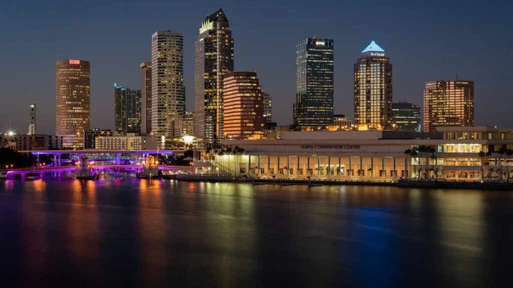 Small business owner in Tampa reviewing local search results and a Tampa Bay service area map