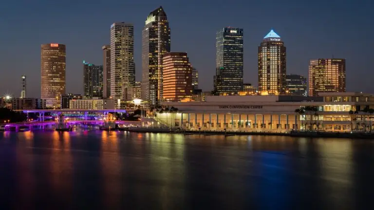 Small business owner in Tampa reviewing local search results and a Tampa Bay service area map